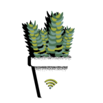 shaky plant - wifi