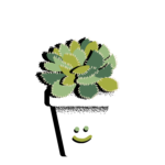 shaky plant - smile